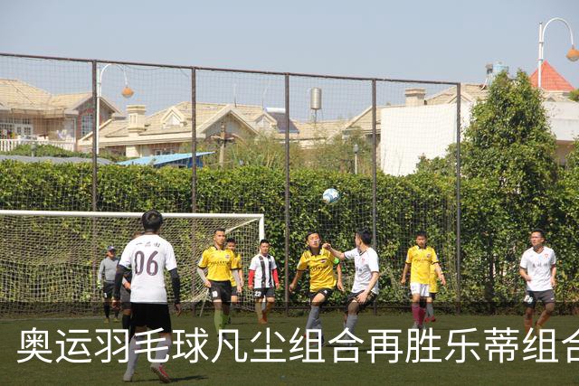 奥运羽毛球凡尘组合再胜乐蒂组合 闯进女双决赛