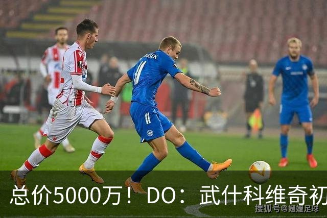 总价5000万！DO：武什科维奇初始转会费4600万镑，热刺有二转分成